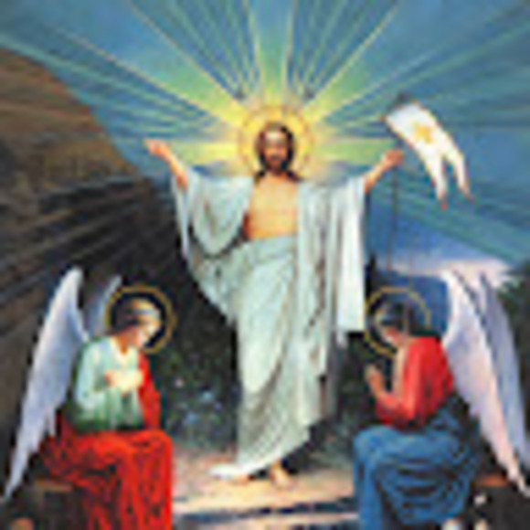 Meet your Posher, Sienna - Picture 1 of 1